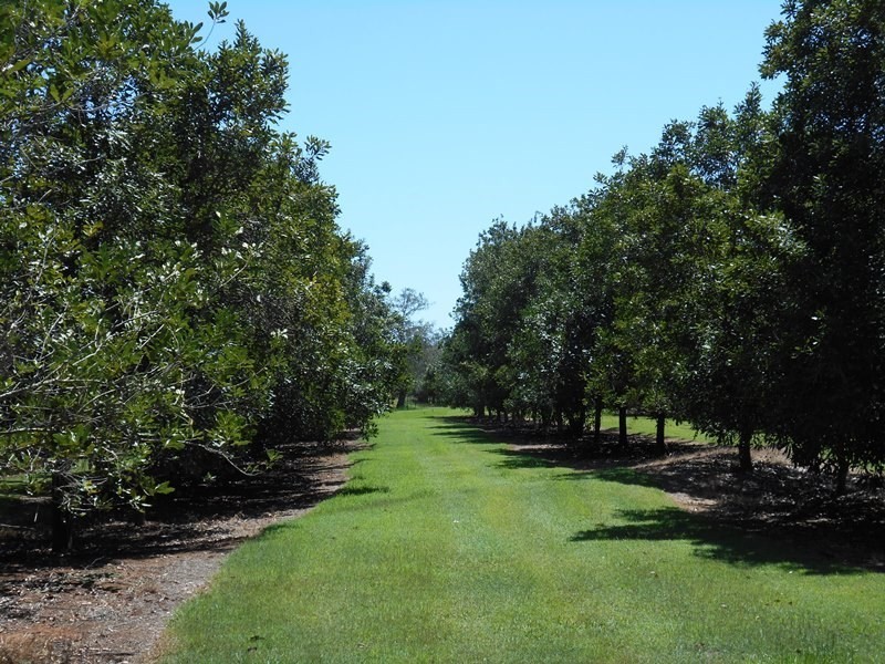 Blackbutt QLD 4306