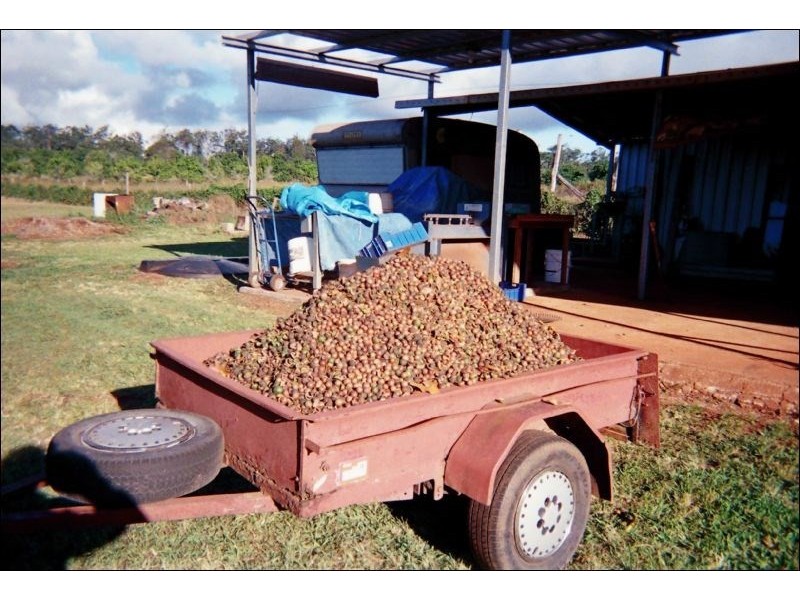 Lot 24 Blackbutt Crows Nest Road, Blackbutt QLD 4306