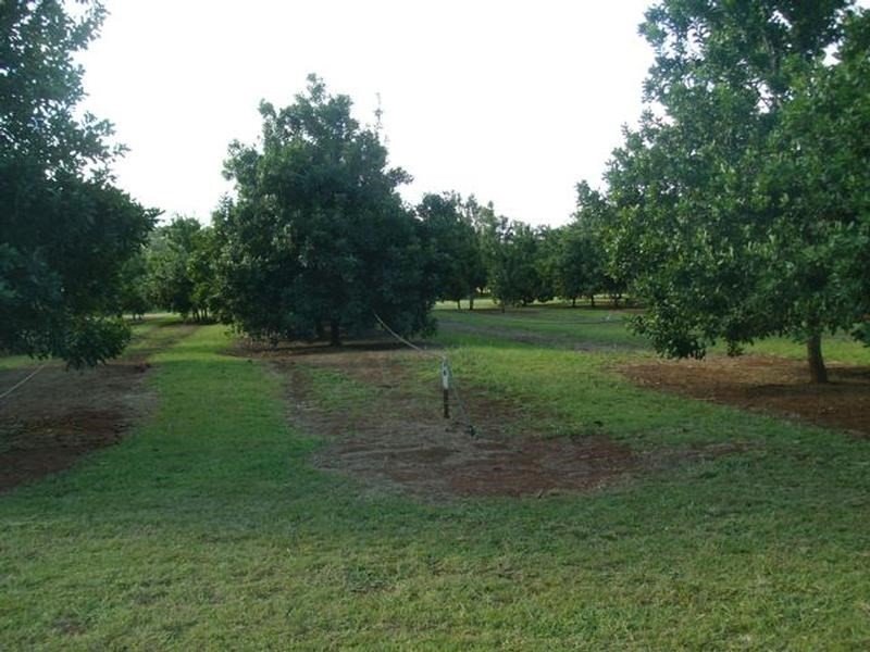 Lot 24 Blackbutt Crows Nest Road, Blackbutt QLD 4306