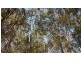 Lot 28 Brett Road, Blackbutt QLD 4306