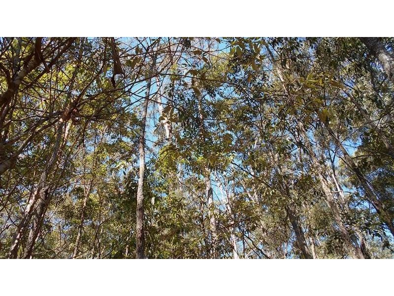 Lot 28 Brett Road, Blackbutt QLD 4306