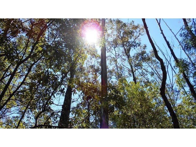 Lot 28 Brett Road, Blackbutt QLD 4306