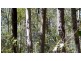 Lot 28 Brett Road, Blackbutt QLD 4306