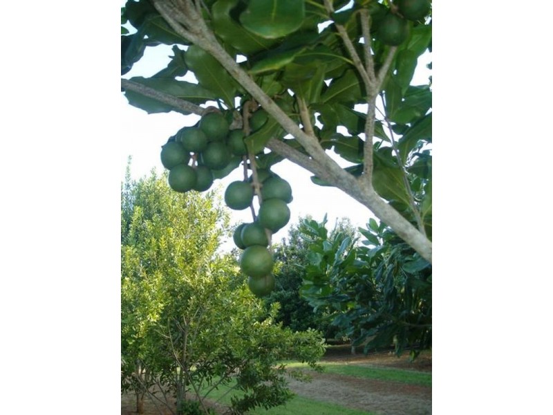 0 Blackbutt Crows Nest Road, Blackbutt QLD 4306