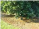 0 Blackbutt Crows Nest Road, Blackbutt QLD 4306