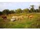 715 Maria Creek Road,, Eskdale QLD 4312