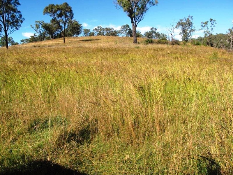 Lot 1 Almond Road, Blackbutt QLD 4306