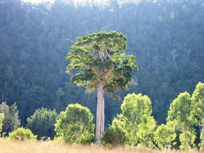 Lot 1 Almond Road, Blackbutt QLD 4306