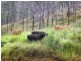 Lot 1 Almond Road, Blackbutt QLD 4306