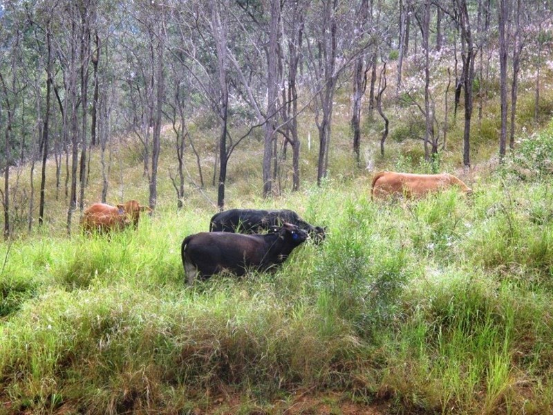 Lot 1 Almond Road, Blackbutt QLD 4306
