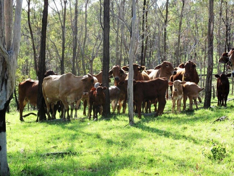 Lot 1 Almond Road, Blackbutt QLD 4306