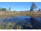 155 Littles Road, Ivory Creek QLD 4313