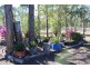 155 Littles Road, Ivory Creek QLD 4313