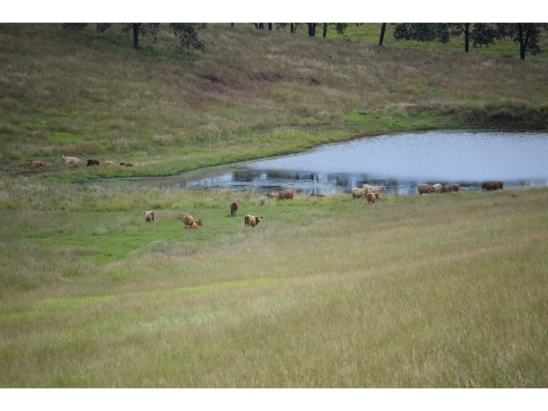 715 Maria Creek Road,, Eskdale QLD 4312