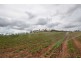 595 Esk Hampton Road, Esk QLD 4312