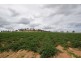 595 Esk Hampton Road, Esk QLD 4312
