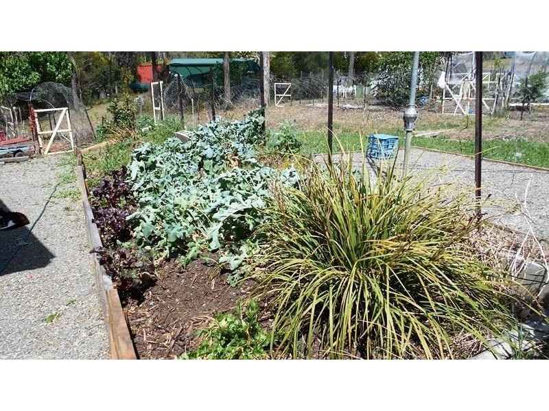 14 David Street, Linville QLD 4306