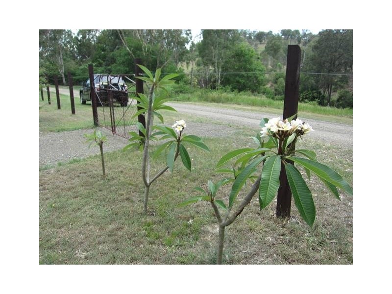 6 Barnes Street, Moore QLD 4306