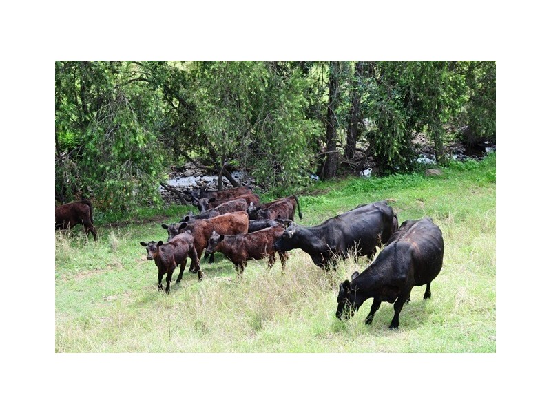 Lot 11 Squirrel Creek Road, Linville QLD 4306