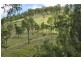 Lot 11 Squirrel Creek Road, Linville QLD 4306