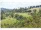 Lot 11 Squirrel Creek Road, Linville QLD 4306