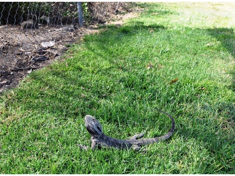 165 Ostrofskis Road, Mount Beppo QLD 4313