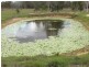 562 Coominya Connection Road, Coominya QLD 4311