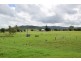 116-148 Scrub Creek Road, Scrub Creek QLD 4313