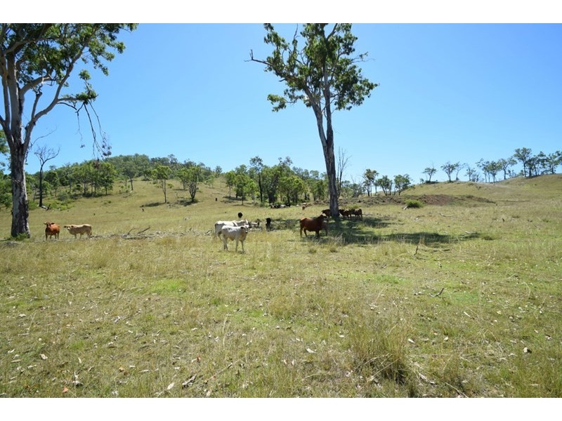 862 Mount Stanley Road, Avoca Vale QLD 4306