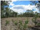 Blackbutt QLD 4306