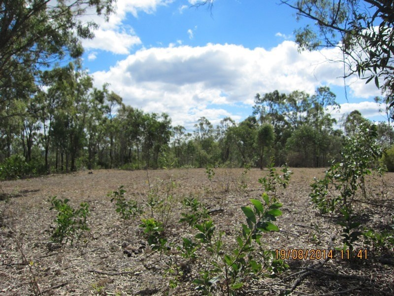 Blackbutt QLD 4306