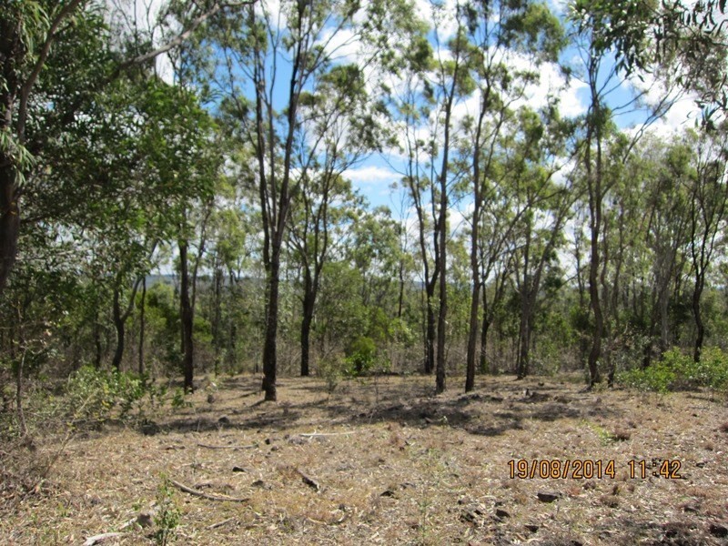 Blackbutt QLD 4306
