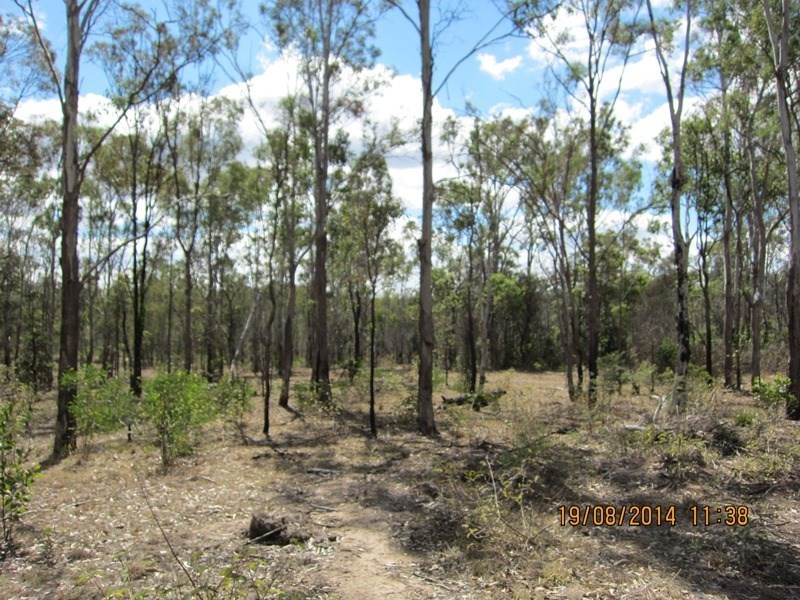Blackbutt QLD 4306