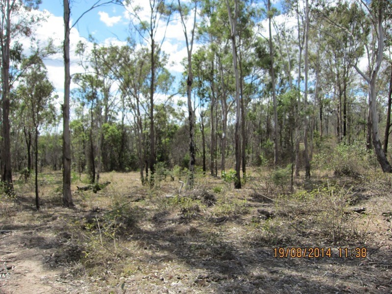 Blackbutt QLD 4306