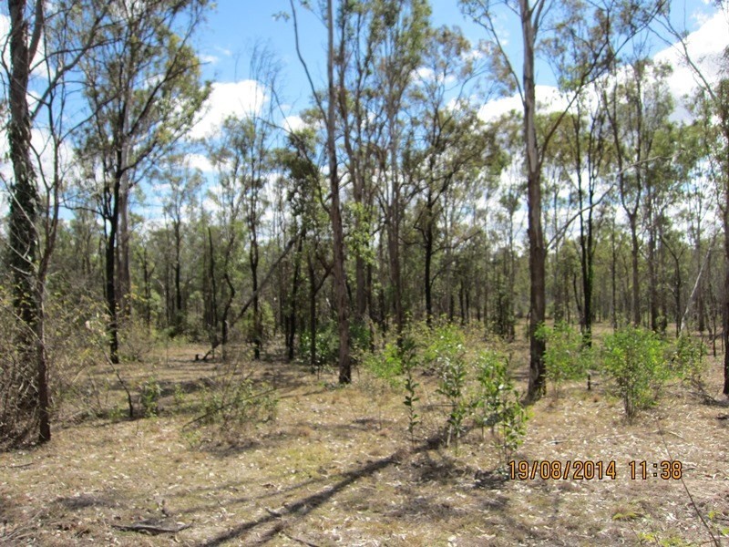 Blackbutt QLD 4306