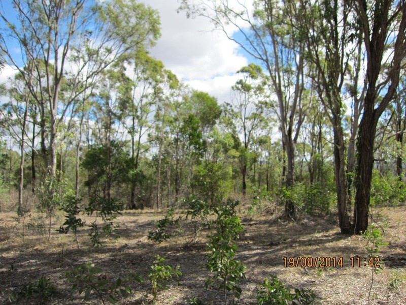 Blackbutt QLD 4306
