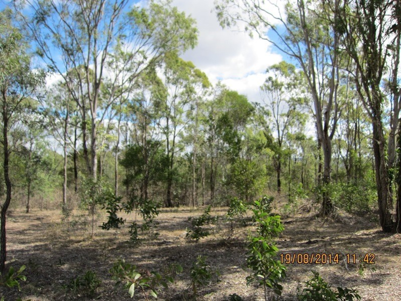 Blackbutt QLD 4306