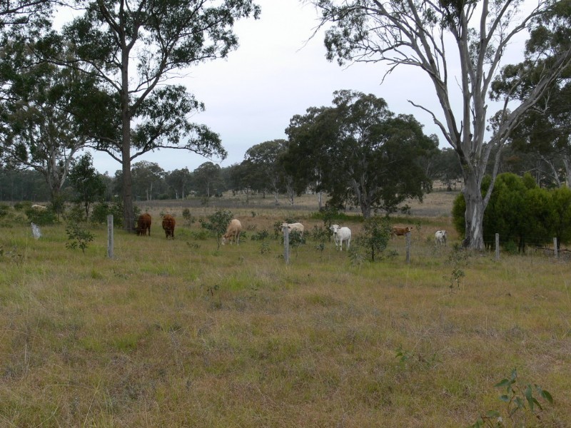 Ravensbourne QLD 4352