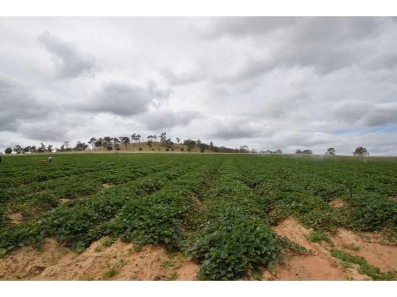 595 Esk Hampton Road, Esk QLD 4312