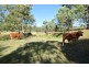 1062 Cooyar Mount Binga Road, Mount Binga QLD 4306