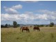 1169 Cooeeimbardi Road, Fulham QLD 4313