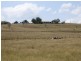 1169 Cooeeimbardi Road, Fulham QLD 4313