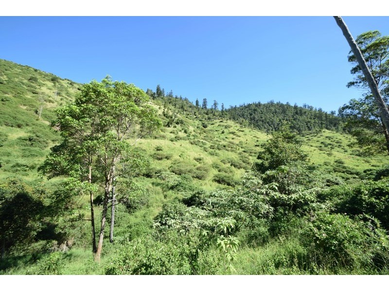 346 Cressbrook Creek Road, Biarra QLD 4313