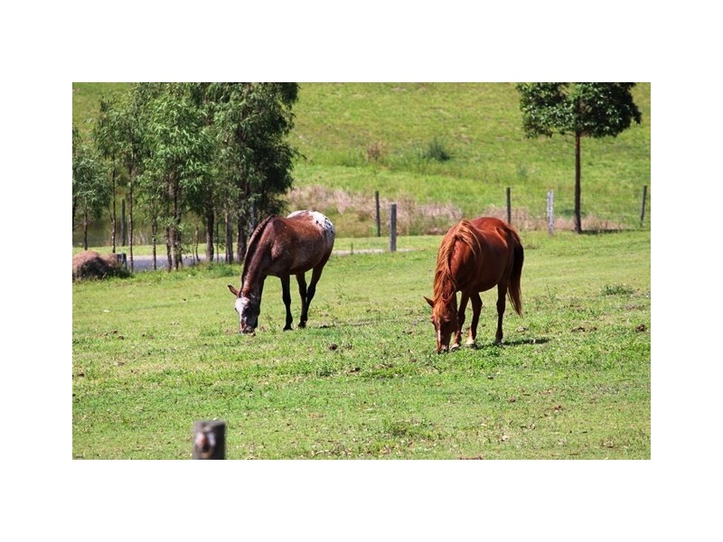 11 Sienna Place, Woolmar QLD 4515