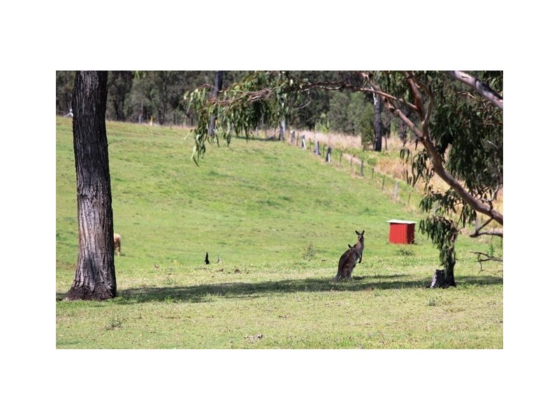 11 Sienna Place, Woolmar QLD 4515