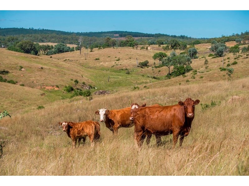 11242 D’Aguilar Highway, Blackbutt QLD 4306