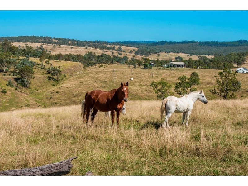 11242 D’Aguilar Highway, Blackbutt QLD 4306