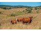 11240 D’Aguilar Highway, Blackbutt QLD 4306