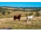 11240 D’Aguilar Highway, Blackbutt QLD 4306