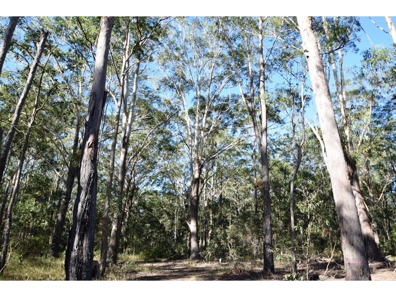 Lot 1 Staines Road, Blackbutt QLD 4306